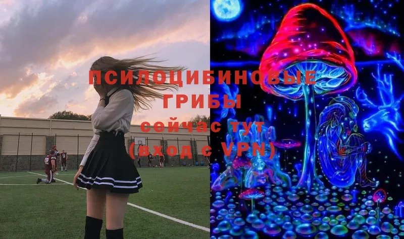 купить   Салават  Галлюциногенные грибы MAGIC MUSHROOMS 